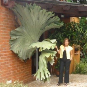 5d80af6dcae5b8a9e19d9322b4dbc884-1-e1494855612339