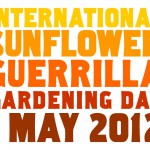International Sunflower Guerrilla Gardening Day 2