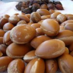 argan semi