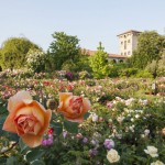 giardinaria_hr_01