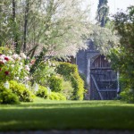 giardinaria_hr_03