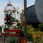 roma-giardini-in-terrazza