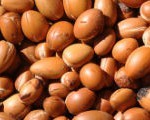 semi-argan